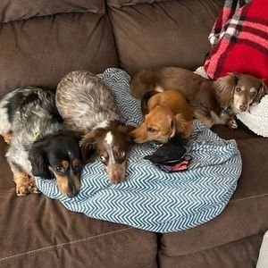 Meet your Posher, Barb